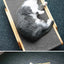 Cat Scratcher Board Wooden Frame Medium Cat Scratching Bed 3 In 1 Scratching Post Anti-Scratch Toys Claw Couch Scraper For Cats