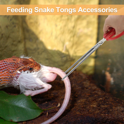 UXCELL Snake Feeding Tongs Stainless Steel Extra Long Straight Design Silver Tone Cleaning Tools Fish Aquatic Pet Supplies