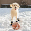 Pet shoe cover indoor warm anti-slip pet socks dog soft comfortable magic sticker adjustable fit Wear-Resistant Dog Shoes