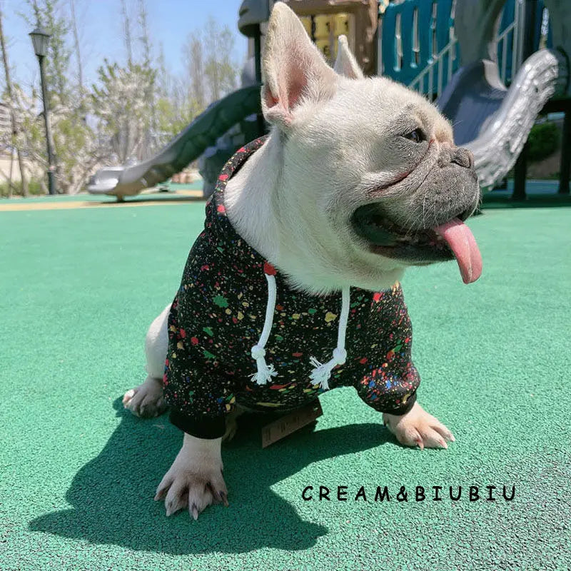 Dog Hoodie Dog Costume Pet Clothes Dog Clothes for Small Dogs Spring and Autumn Parent-child Wear Keep Warm Embroidery