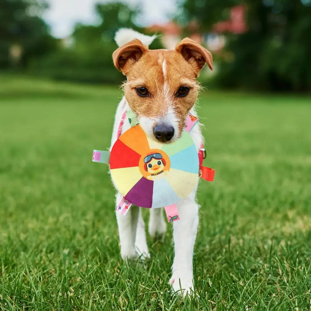 Plush Squeaky Dog Toys Interactive Chewing Squeaky Toy for Puppy Squeaky Dog Chew Toy Disc Shape Plush Dog Toys for Puppies