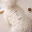 Dog Winter Jacket Pet Warm Coat With Built In Harness Hole Cold Weather Pet Apparel Cozy Snow Vest For Small Dogs Cats