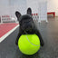 Giant Tennis Ball For Dog Chew Toy Pet Dog Interactive Toys Big Inflatable Tennis Ball Pet Supplies Outdoor Cricket Dog Toy