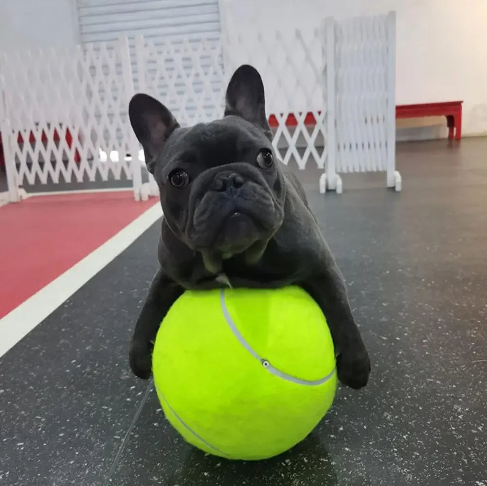 Giant Tennis Ball For Dog Chew Toy Pet Dog Interactive Toys Big Inflatable Tennis Ball Pet Supplies Outdoor Cricket Dog Toy