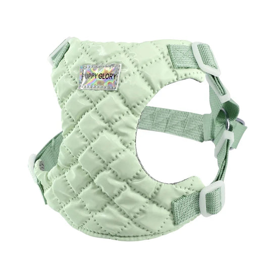 Lightweight Dog Harness for Small Medium Large Dogs Adjustable Puppy Cat Vest Harness Bulldog Chihuahua Pet Accessories