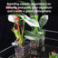 Aquarium Plant Basket Transparent Aquarium Decorations Plants Pot Aquatic Plants Holder Aquatic Plant Cup Aquascape Decor