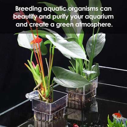 Aquarium Plant Basket Transparent Aquarium Decorations Plants Pot Aquatic Plants Holder Aquatic Plant Cup Aquascape Decor