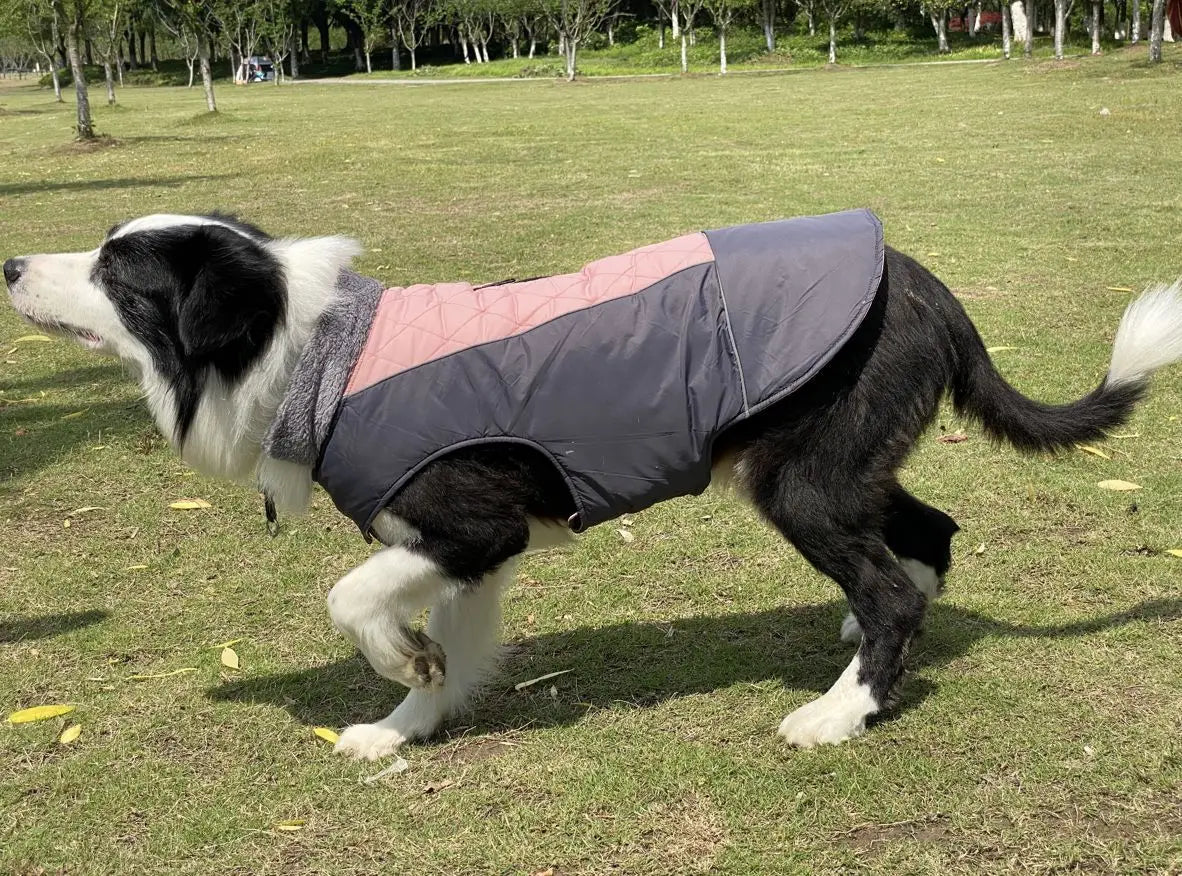 Warm Fleece Collar Dog Coat Jacket Double-Sided Winter Dog Coat Waterproof Puppy Clothing For Small Medium & Large Dogs Supplies