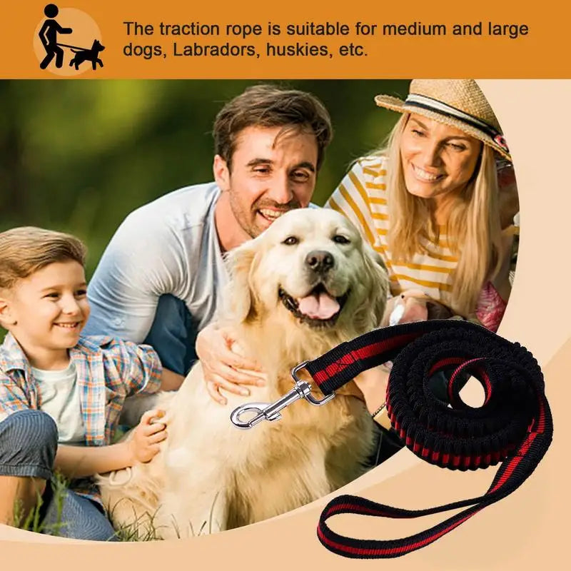 Dog Heavy Duty Durable Telescopic Nylon Dog Rope Comfortable Padded Handle Rope High-elastic Dog Safety Belt For Car