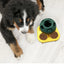 Dog Treat Dispenser Ball Toys Interactive Dog Dispenser Ball for Treats Dog Treat Ball Food Dispensing Toy Puppy Training toys