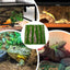 Reptile Cork Terrarium Background Lizard Habitat Decorations Bark Backdrop Reptile Habitat Decor With Artificial Moss for Gecko