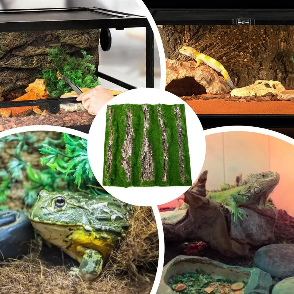Reptile Cork Terrarium Background Lizard Habitat Decorations Bark Backdrop Reptile Habitat Decor With Artificial Moss for Gecko