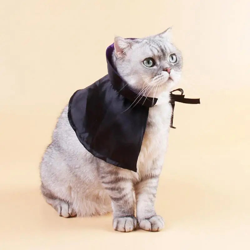 Pet Dog Cat Witch Hat Bandana Cosplay Prop Halloween Fancy Dress Costume Outfit Cat Costumes Photo Props Headwear