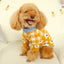 Luxury Designer Warm Winter Clothes for Pets Wool Knitting Floral New Year York Dog Sweaters Sphinx Cat Christmas Puppy Clothing