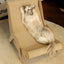 Sisal Cat Chair Wooden Cat Lounge Chair Cozy Stable Pet Furniture Pet-Friendly Multi-Functional Cat Scratcher Cat Beach Chair