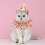 Pet Birthday Accessories Small Dog Cat Birthday Hat with Bandana Collar Pet Birthday Decorations for Kitten Pet Party Outfits