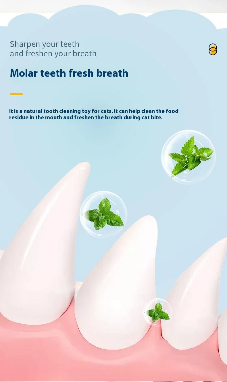 Cat Ear Peppermint Rotating Ball Cat Happy Interactive Cat Toy Worms Gall Fruit Wood Polygonum Toy Ball