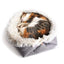 Dual-purpose Plush Cozy Cat Bed