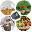 Parakeet Nesting Box Wood Bird Cage House Easy To Clean Transparent Bird Nesting Box For Budgie Bird Breeding Box