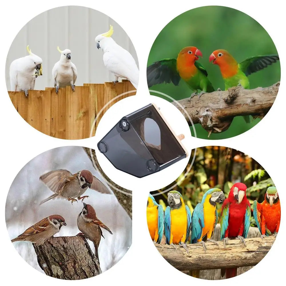 Parakeet Nesting Box Wood Bird Cage House Easy To Clean Transparent Bird Nesting Box For Budgie Bird Breeding Box