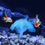 UXCELL Plastic Luminous Plants Glowing Artificial Simulation Coral Aquarium Decoration Underwater Ornament Fish Tank Accessories
