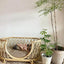 Japanese ins natural rattan dog cat pet bed teddy kennel princess bed summer removable cage