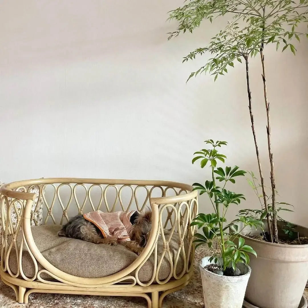 Japanese ins natural rattan dog cat pet bed teddy kennel princess bed summer removable cage
