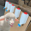 Baby Goat Bottle Lamb Bottle Animal feeding supplies Hangable Milk Feeder Veterinary hanging milk bottle with Clear Scale
