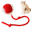 Electric Cat Ball Toys Automatic Rolling Ball Cat Puzzle Toy Cat Balls Smart Pet Interactive Toy Dog Cat Training Playing Toys