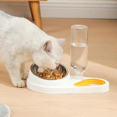 Elevated Cat Bowls Dog Feeder Cat Food Dishes Dog Food And Water Bowl Set Tilted Pet Food Bowls For Indoor Pet Cats Dogs Kittens