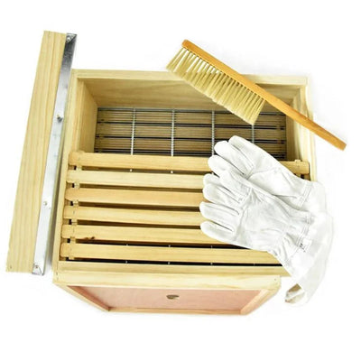 Benefitbee apicultural equipments bee box wooden langstroth hive for beekeeping