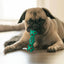Chew Toys for Dogs Squeaky Dog Toys Pet Chewing Toys for Teething Interactive Training Toys for Small Medium Large Dogs