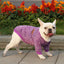 Pet Dog Clothes Knitwear Dog Sweater Soft Thickening Warm Pup Dogs Shirt Winter Puppy Sweater for Dogs Casual Pet Cat Clothing