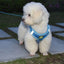 Reflective Pet Harness And Leash Set For Dog & Cat, No Pull Dog Vest Harness With Breathable Mesh