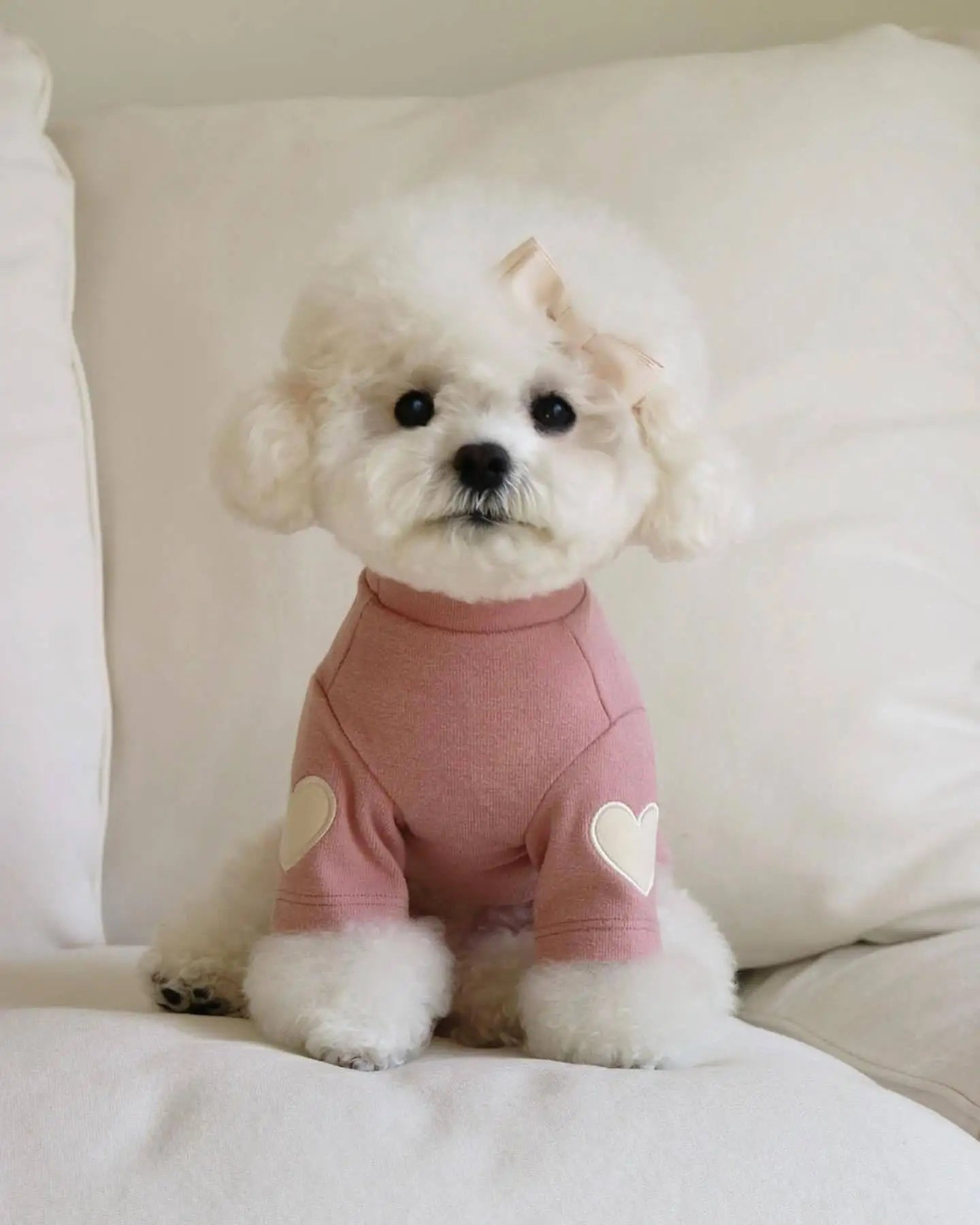 Autumn and Winter Puppy Clothes Warm Dog Vest French Love Chihuahua Outfits Yorkies Poodle Jacket Pug Teddy Coat Pet Hoodie