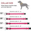 Pet Supplies Dog Leash Collar Adjustable Pet Leash Chest Strap Dog Leash Collar