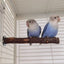 Natural Wood Pet Parrot Raw Wood Fork Tree Branch Stand Rack Squirrel Bird Hamster Branch Perches Chew Bite Toys Stick 1Pcs