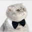 Pet Dog Cat Adjustable Bow Tie Collar Puppy Necktie Bowknot Bowtie Pet Cat Holiday Wedding Decoration Accessories for Small Dogs