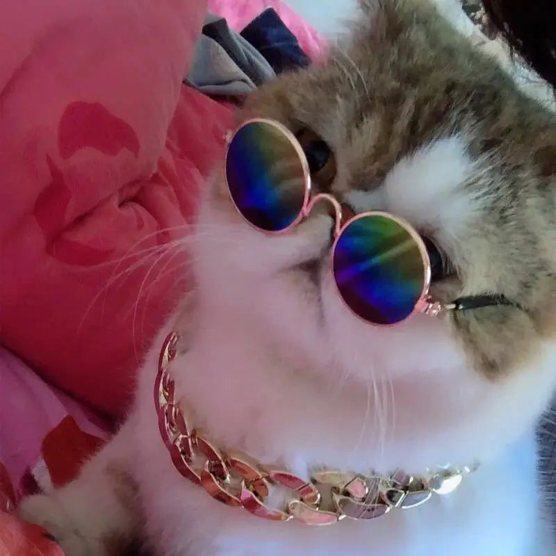 Anti-slip Cat Sunglasses Pet Accessories Small Dog Sun Glasses Classic Retro Circular Glasses for Kitten Photos Props Cosplay