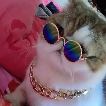 Anti-slip Cat Sunglasses Pet Accessories Small Dog Sun Glasses Classic Retro Circular Glasses for Kitten Photos Props Cosplay