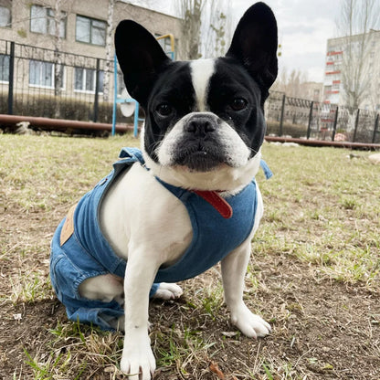 Dog Jeans Jumpsuit for Small Medium Large Dogs Adjustable Pet Denim Clothes Costumes Vintage Washed Dog Pants Overall for Dogs