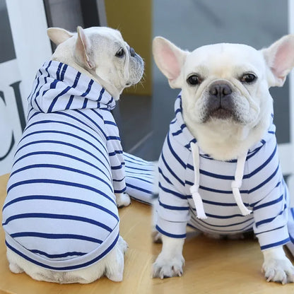 2023New Spring Summer Dog Hoodies Puppy Small Dog Costume Shirt Yorkshire Terrier Pomeranian Bichon Poodle maltese Clothing Coat