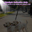 UXCELL Fashion Dog Leash for Two Large Dog Up to 330 Ib 6.6-7.6FT Long Hands Free Waist Leash for Dog Walking Dog Leads