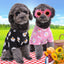 Summer Dog Clothes Puppy Pet Clothes Fashion Clothing For Small Medium Dogs Winter Chihuahua Clothes Classic Outfit Ropa Perro