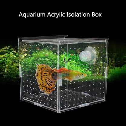HighTransparent Acrylic Aquarium Fish Breeding Feeding Isolation Box Fish Aquarium Breeder Hatching Incubator Tank  Accessories