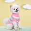 S-xxl Medium Knitted Dog Sweater for Small Dogs York Warm Cat Coat Winter Dogs Clothes Pet Costumes Dog Pullover Puppy Supplies