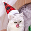 Pet Cat Dog Christmas Hat Cap Puppy Dog Accessories for Small Dogs Dog Costume Dog Hats for Cats Dog Costumes Pet Supplies