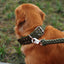 Heavy Duty Wide Military Thick Dog Collars for Large Dogs Adjustable Strong Nylon Tactical Pet Collar with 2-Rows Metal Buckle