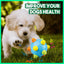 Interactive Dog Toy Ball LED Flash Music Dog Toy Ball Pet Bouncing Balls Interactive Jumping Toys For Dogs Playing Running