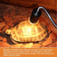 Reptile Heating Bulb 220V Habitat Light Lamp Basking Heat Lamp For Reptiles Turtle Heat Lamp Bulb For Bearded Dragon Reptile